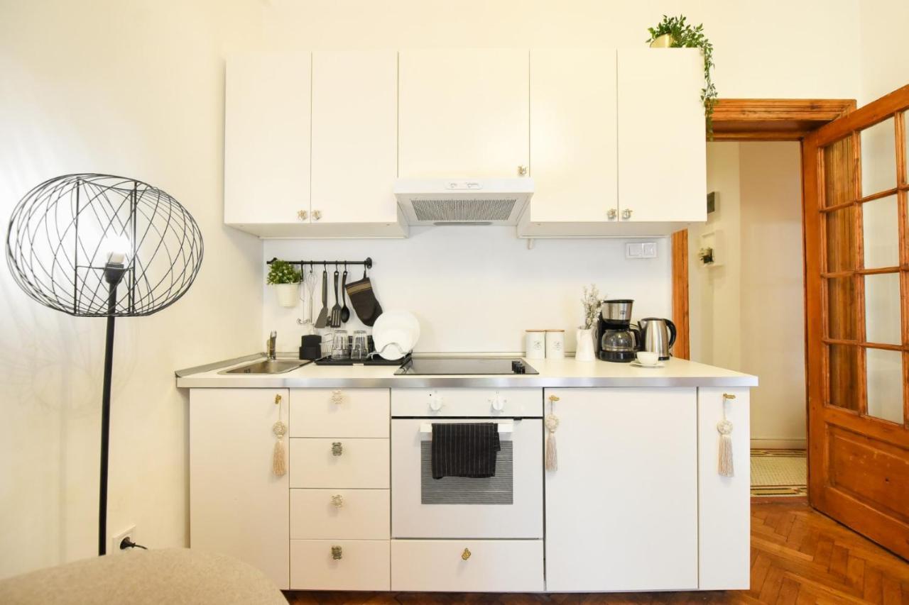 Vintage Elegance, Modern Comfort: 1Br Apartment Overlooking Calea Victoriei Bukarest Exterior foto